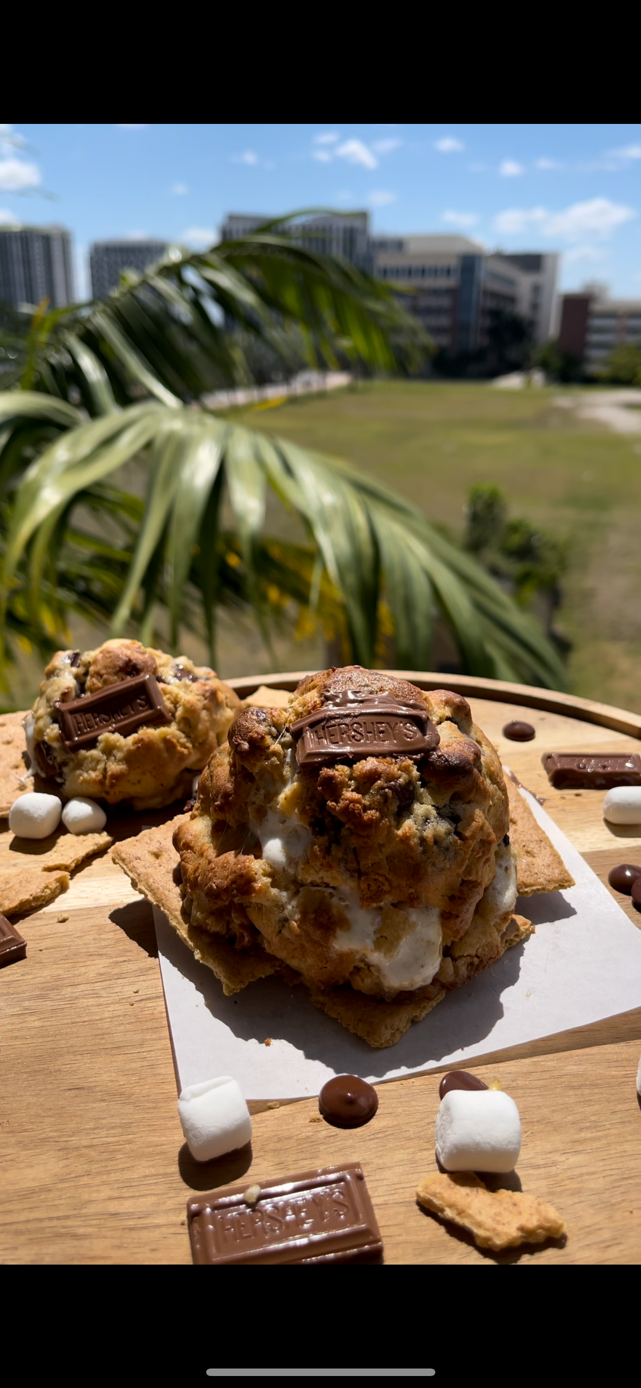 S’MORES