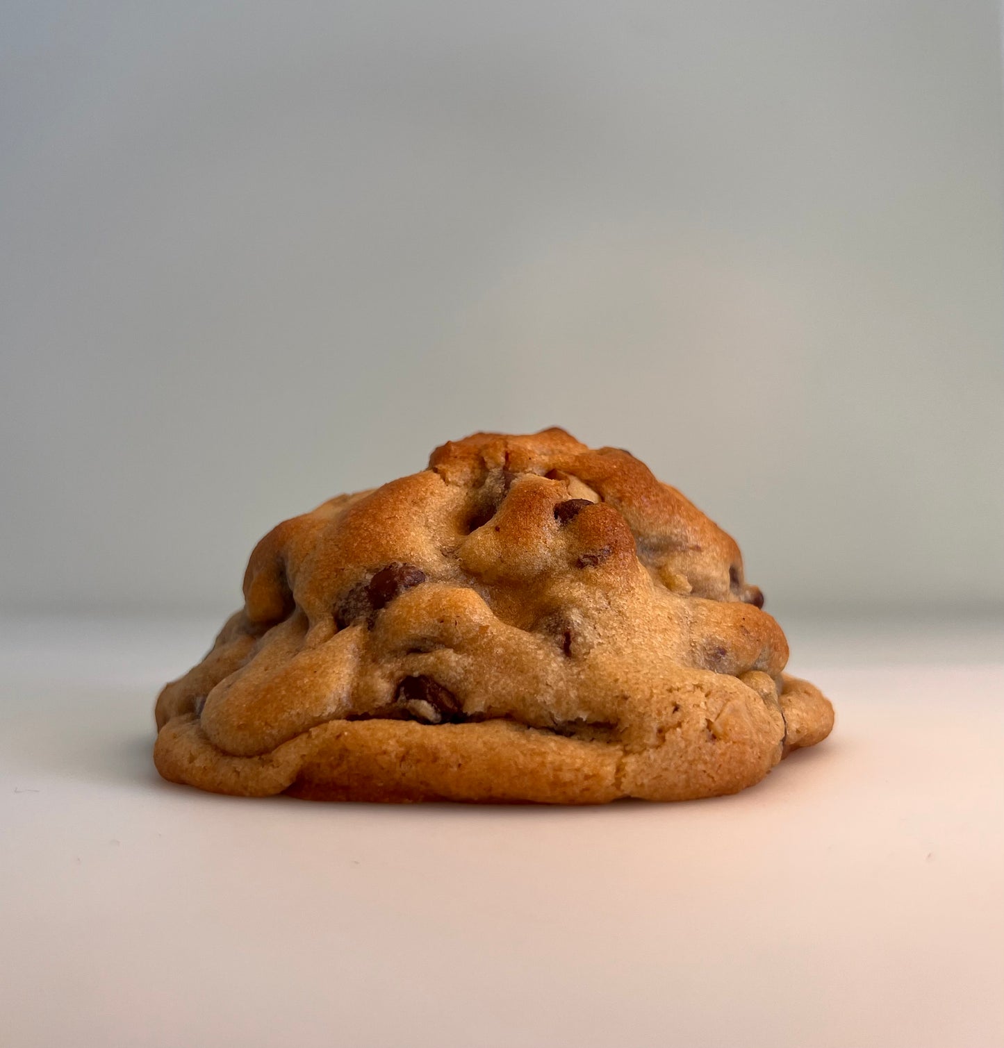 WALNUT CHOCOLATE CHIP