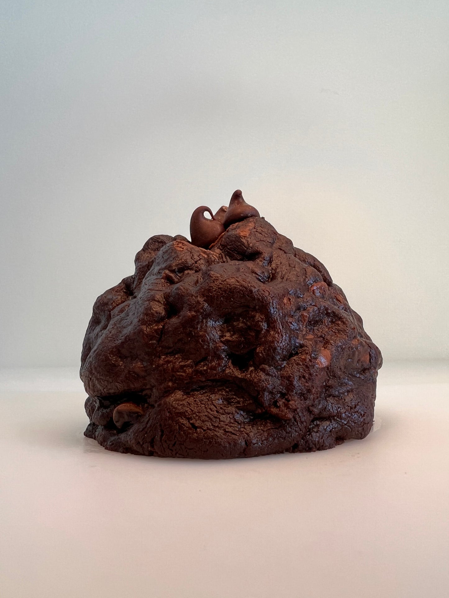 DOUBLE CHOC CHIP NUTELLA